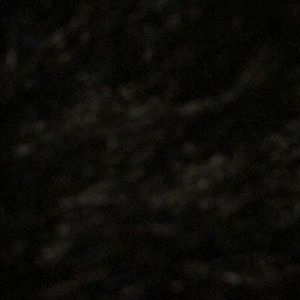 Meet your Posher, Monali